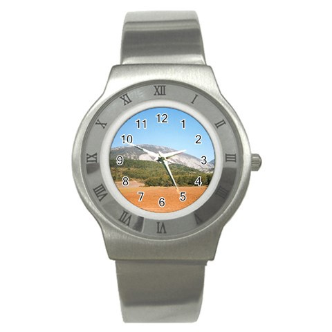mountainscene1 Stainless Steel Watch from ArtsNow.com Front