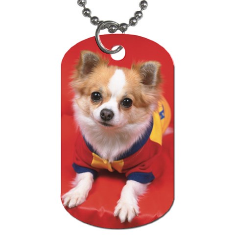 Puppy in Red Dog Tag (Two Sides) from ArtsNow.com Front