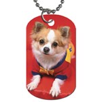 Puppy in Red Dog Tag (Two Sides)