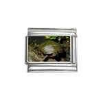 Turtle Italian Charm (9mm)