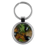 Baby Turtles Key Chain (Round)