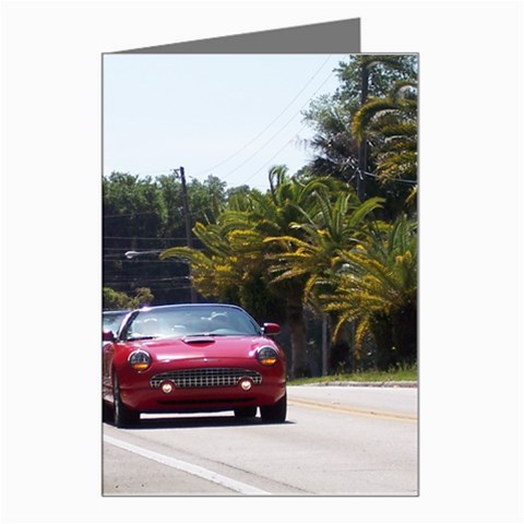 Cruise Greeting Card from ArtsNow.com Left