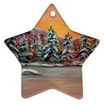 Jane s Winter Sunset -AveHurley ArtRevu.com- Ornament (Star)