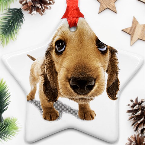 untitled Ornament (Star) from ArtsNow.com Front