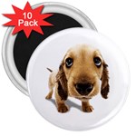 untitled 3  Magnet (10 pack)