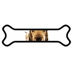 untitled Magnet (Dog Bone)