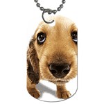 untitled Dog Tag (One Side)