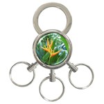 Get Me! 3-Ring Key Chain