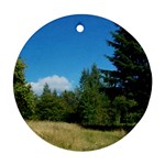 land2 Ornament (Round)