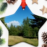 land2 Ornament (Star)