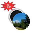 land2 1.75  Magnet (10 pack) 