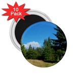 land2 2.25  Magnet (10 pack)