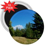 land2 3  Magnet (10 pack)