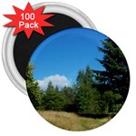 land2 3  Magnet (100 pack)