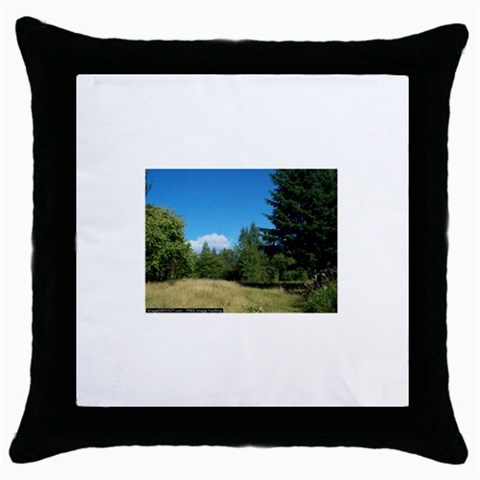 land2 Throw Pillow Case (Black) from ArtsNow.com Front