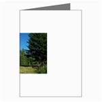 land2 Greeting Cards (Pkg of 8)