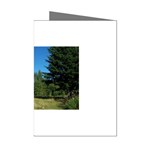 land2 Mini Greeting Cards (Pkg of 8)