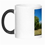 land2 Morph Mug