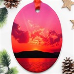 Photo-0003 Ornament (Oval)