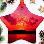 Photo-0003 Ornament (Star)