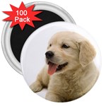 iStock_000003521312Medium 3  Magnet (100 pack)