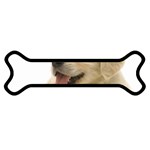 iStock_000003521312Medium Magnet (Dog Bone)