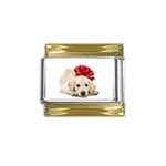 j0431254 Gold Trim Italian Charm (9mm)