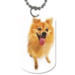  Dog Tag (Two Sides)