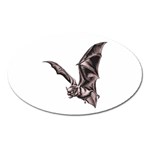 Vampire Bat Magnet (Oval)