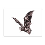 Vampire Bat Sticker A4 (100 pack)