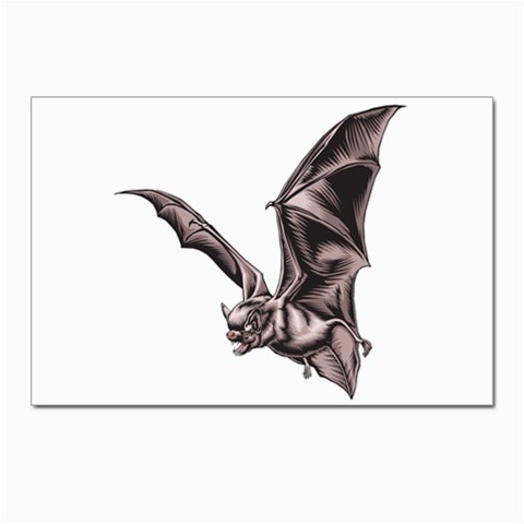 Vampire Bat Postcard 4 x 6  (Pkg of 10) from ArtsNow.com Front