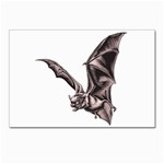 Vampire Bat Postcard 4 x 6  (Pkg of 10)