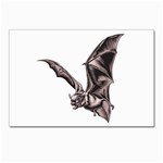Vampire Bat Postcard 5  x 7 