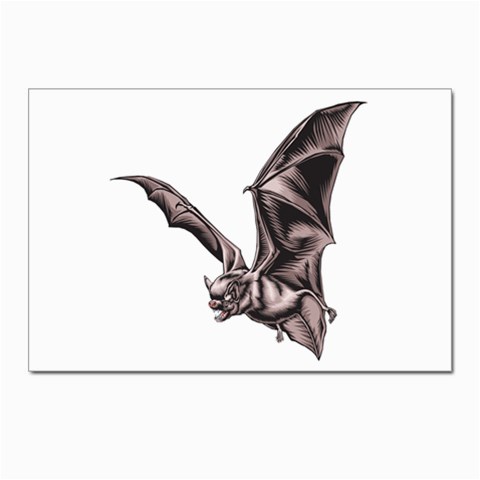 Vampire Bat Postcards 5  x 7  (Pkg of 10) from ArtsNow.com Front