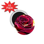 Rose 2 1.75  Magnet (10 pack) 