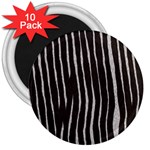 Zebra 3  Magnet (10 pack)