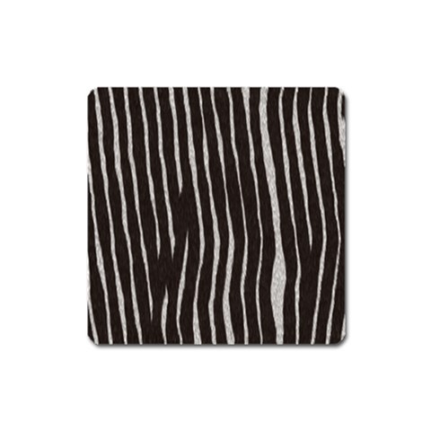 Zebra Magnet (Square) from ArtsNow.com Front