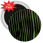 Zebra 3  Magnet (10 pack)