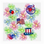 Patriot Fireworks Glasses Cloth (Medium)