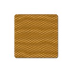 Snake Magnet (Square)