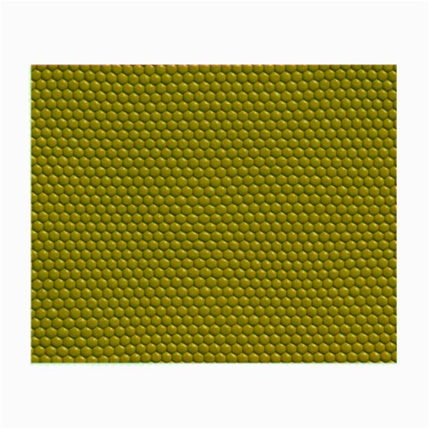 Snake Glasses Cloth from ArtsNow.com Front