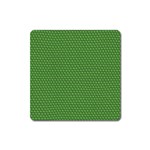 Snake Magnet (Square)