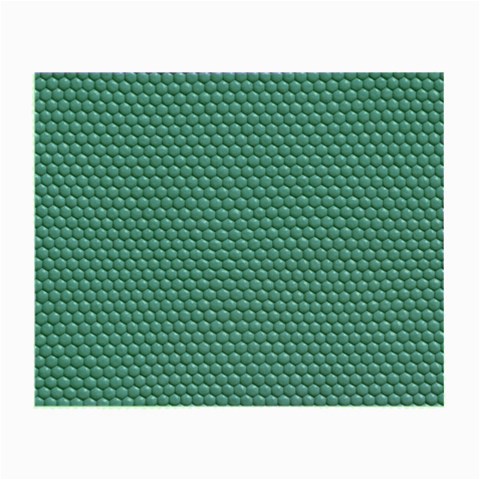 Snake Glasses Cloth from ArtsNow.com Front