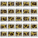 Leopard 9mm Italian Charm (25 pack)