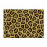 Leopard Sticker A4 (10 pack)