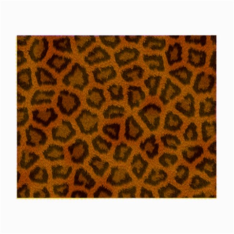 Leopard Glasses Cloth from ArtsNow.com Front