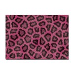 Leopard Sticker A4 (100 pack)