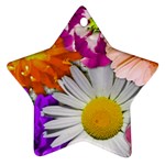 Lovely Flowers,purple Star Ornament