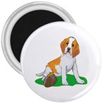 Beagle 3  Magnet
