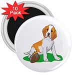 Beagle 3  Magnet (10 pack)